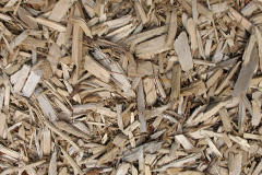 biomass boilers Tullybannocher